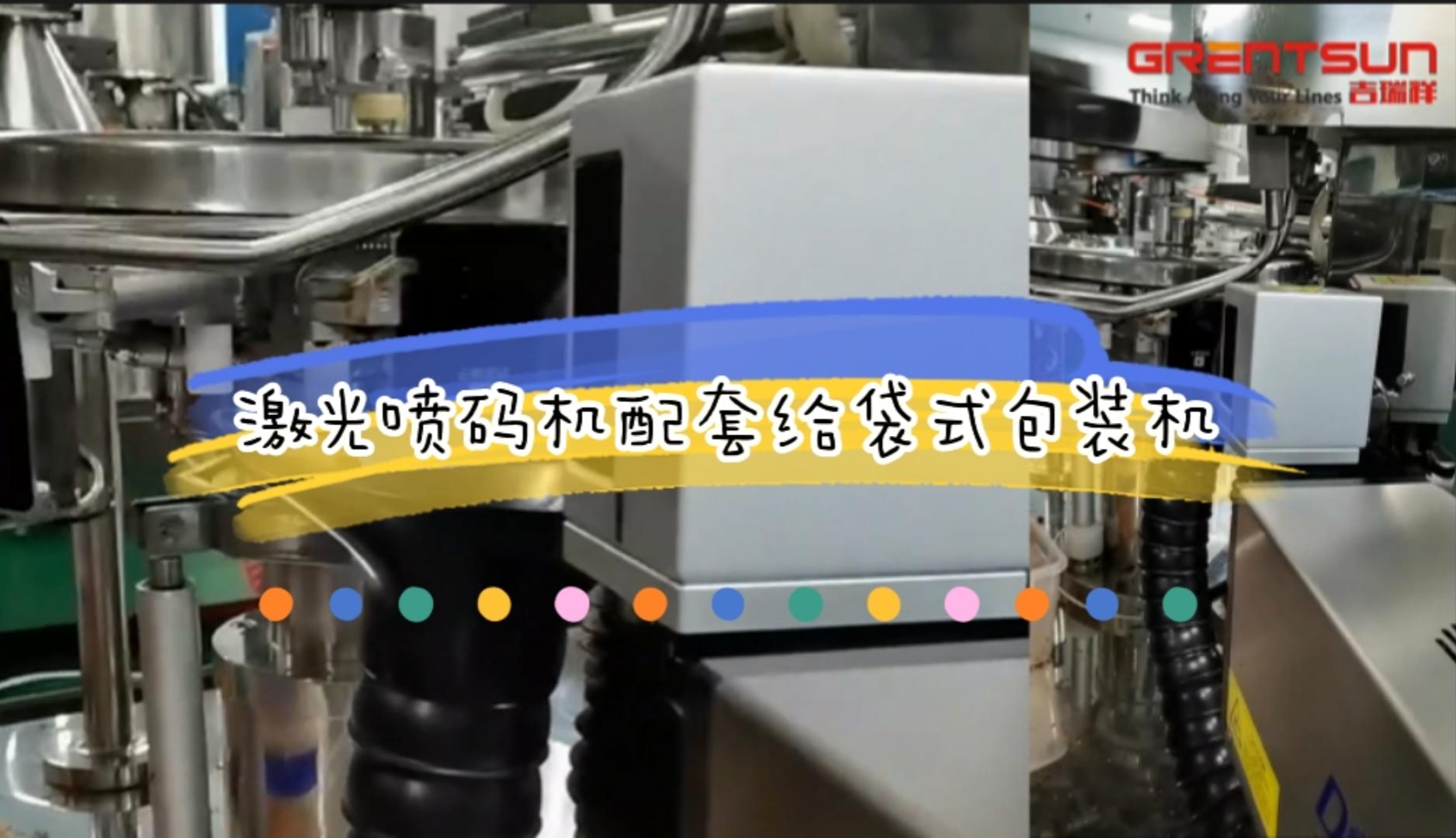 給袋式包裝機(jī)激光噴碼機(jī)應(yīng)用實(shí)例
